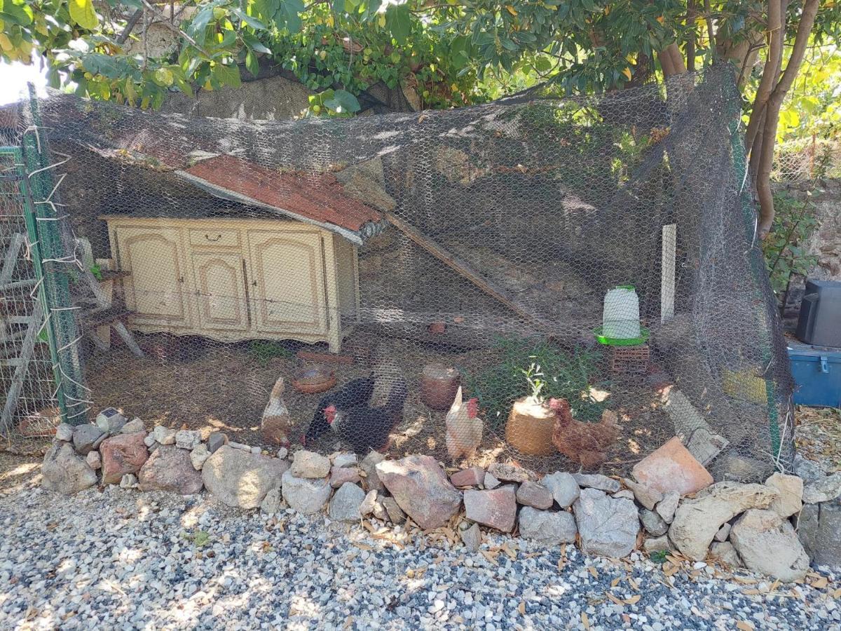 Chambres D'Hotes : Les Maisons De Gaia Tuchan Εξωτερικό φωτογραφία