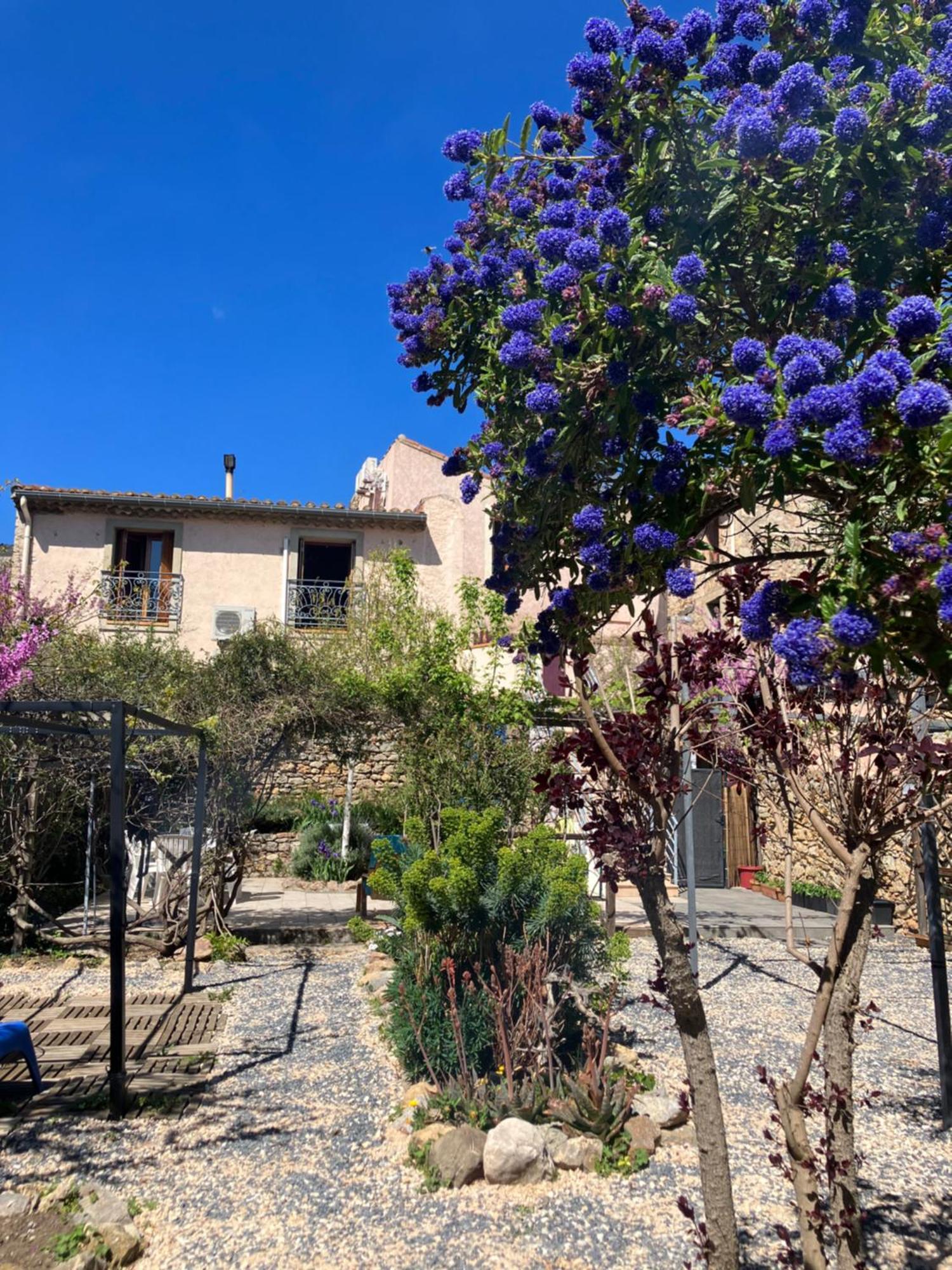 Chambres D'Hotes : Les Maisons De Gaia Tuchan Εξωτερικό φωτογραφία